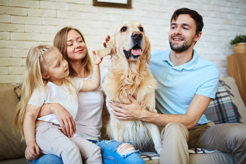 Are Vets Expensive in Bunbury, Australia? Bunbury vet